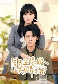 周先生隐婚关系请保密(全集)