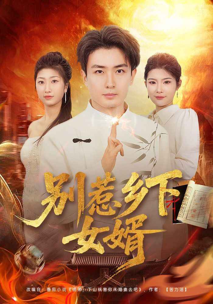 别惹乡下女婿(全集)