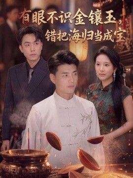 有眼不识金镶玉错把海归当成宝(全集)