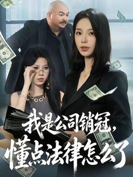 我是公司销冠，懂点法律怎么了(全集)