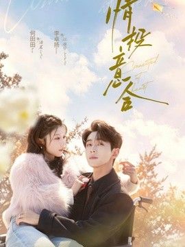情投意合(全集)