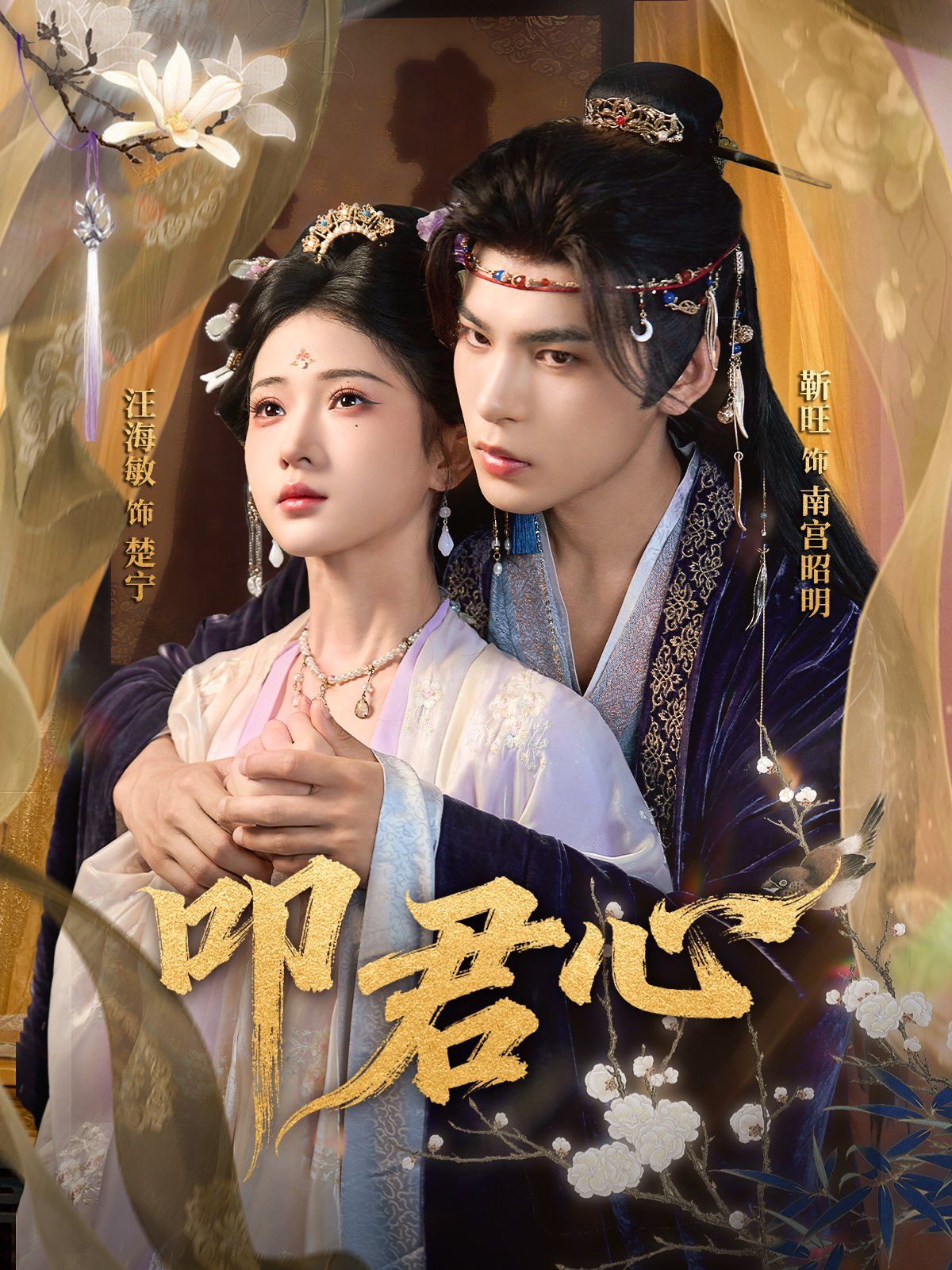 叩君心(全集)