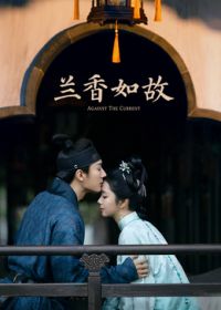 兰香如故(全集)
