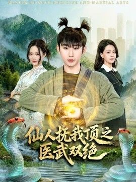 仙人抚我顶之医武双绝(全集)