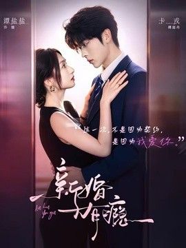新婚有瘾(全集)