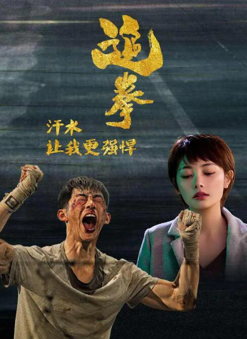 追拳(全集)