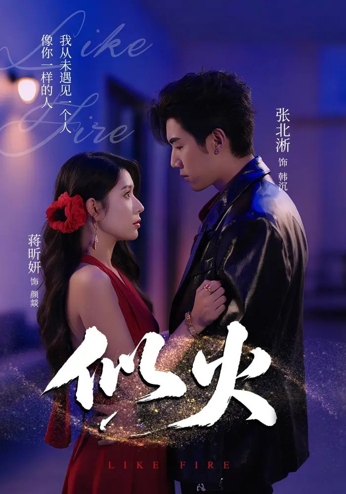 似火 2025(全集)