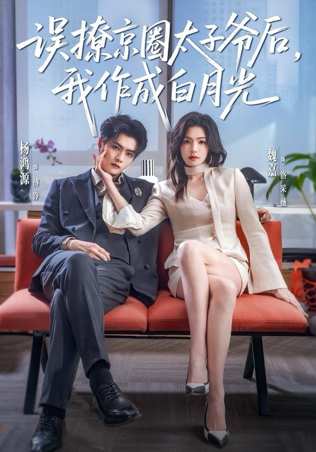 误撩京圈太子爷后，我作成白月光(全集)