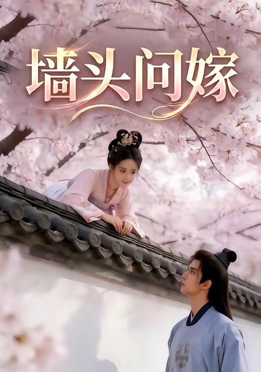 墙头问嫁(全集)
