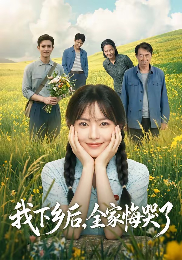 我下乡后，全家悔哭了(全集)